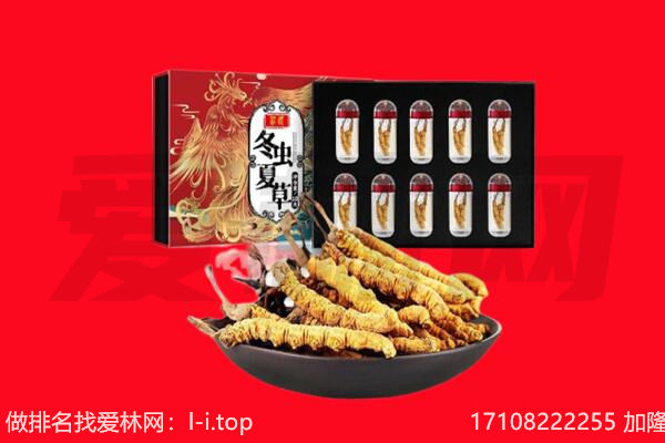 自贡大安区回收虫草.jpg